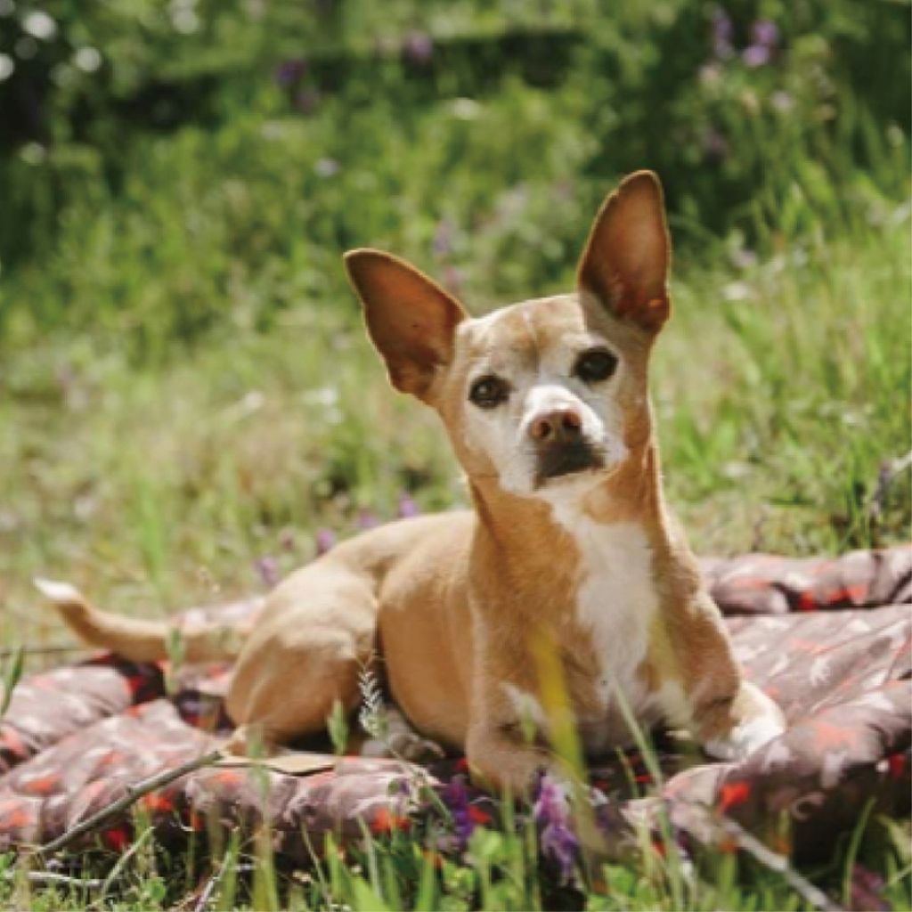 tw-11134207-7r98v-lzzqk442qlge34