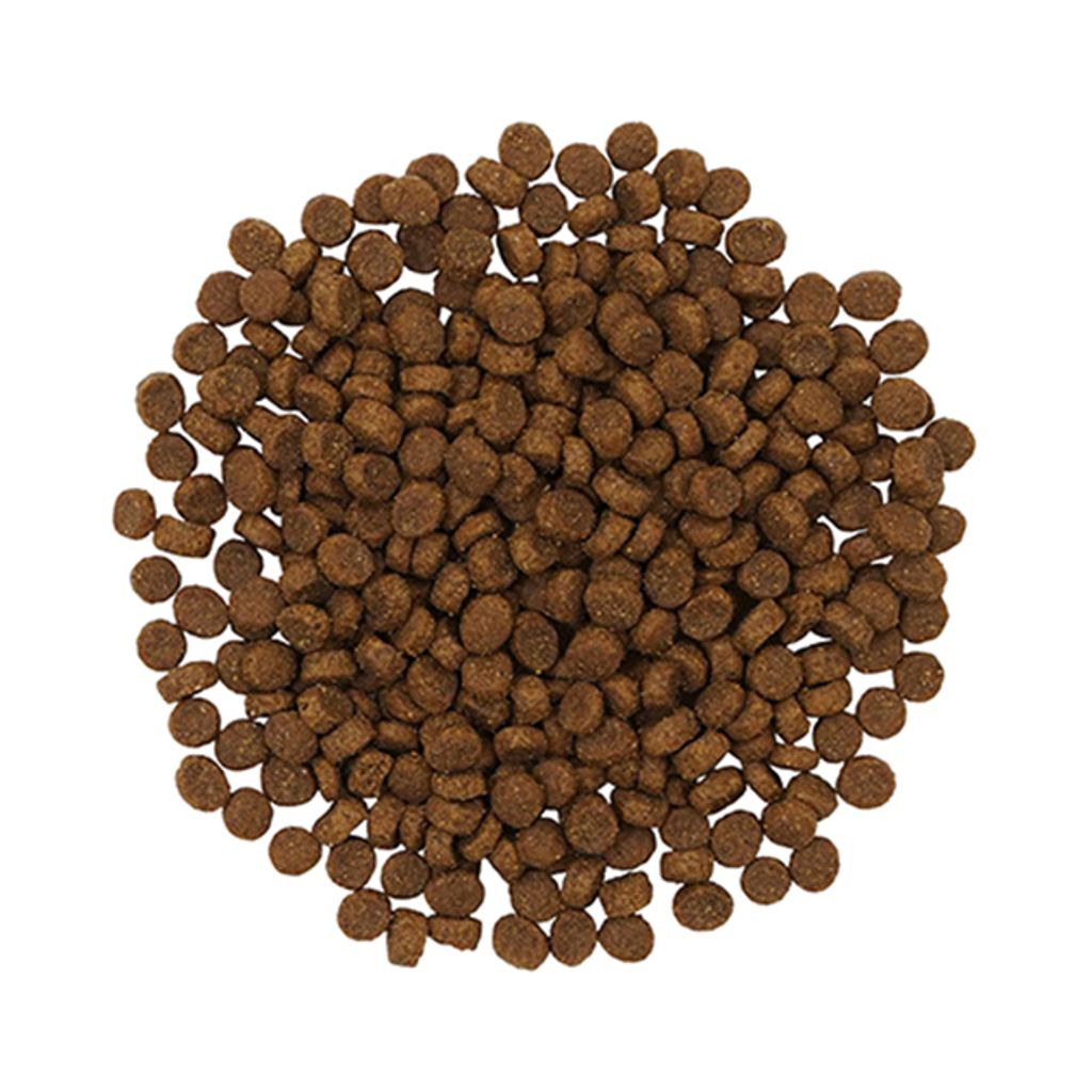 tw-11134207-7qul6-ljp2z8zupxom66