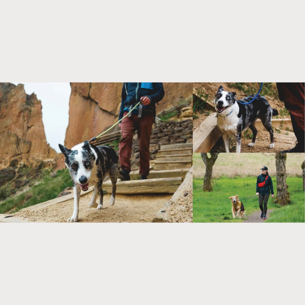 tw-11134207-7rbkd-m6no7v37qqck3c