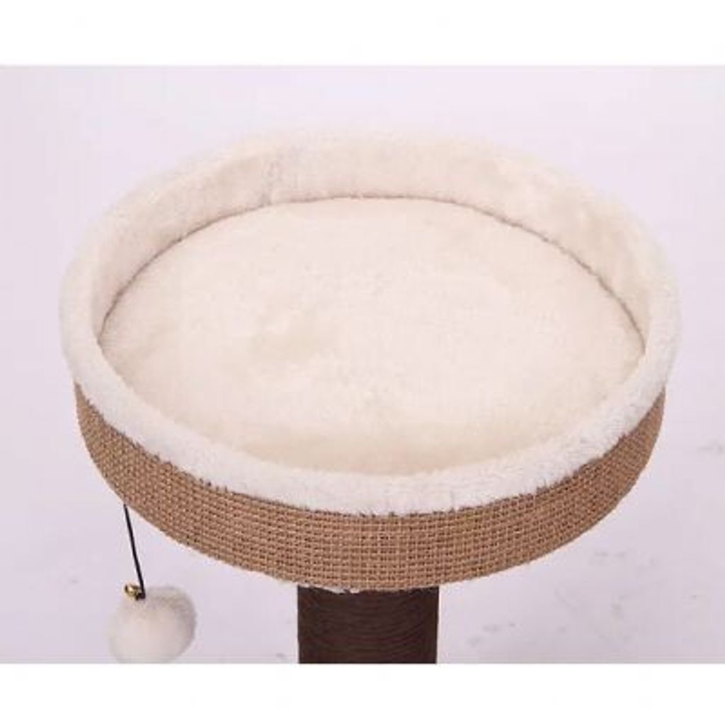 49facfd0a5f31d641a5927d9d81f05a1