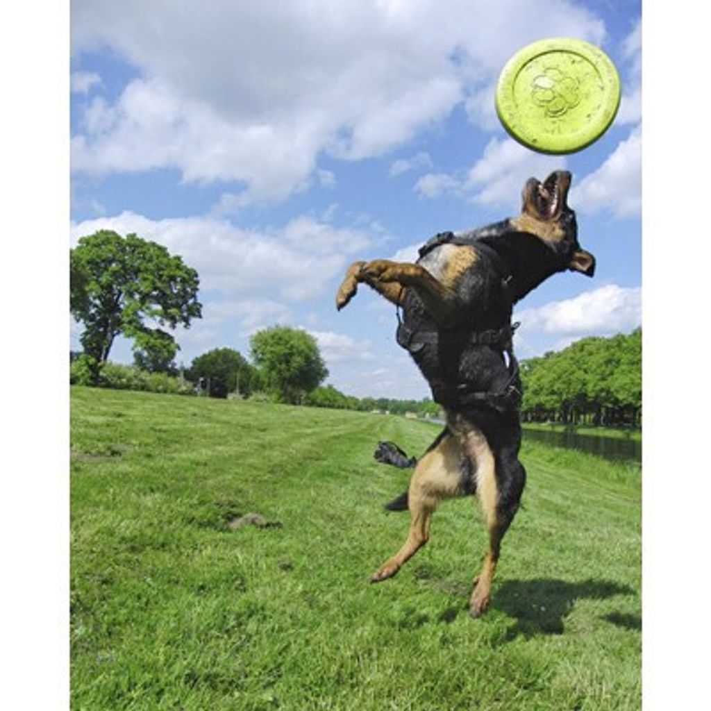 9a1138210871292b8e1cdb0d4fa30d37