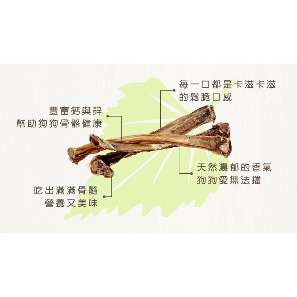 9b806bdedb03ae02cd21033c1db8b51c