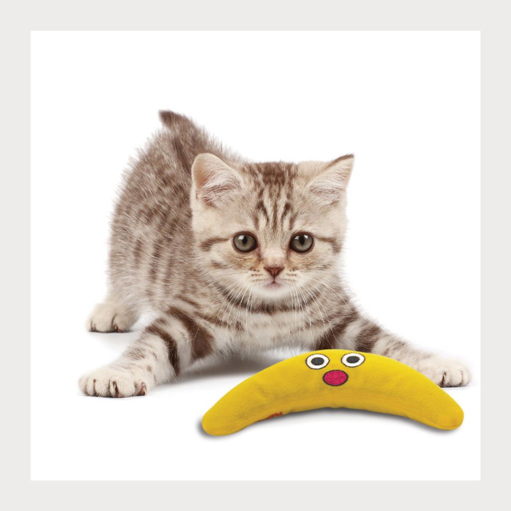 tw-11134207-7rasf-m31sjy5loxpg23