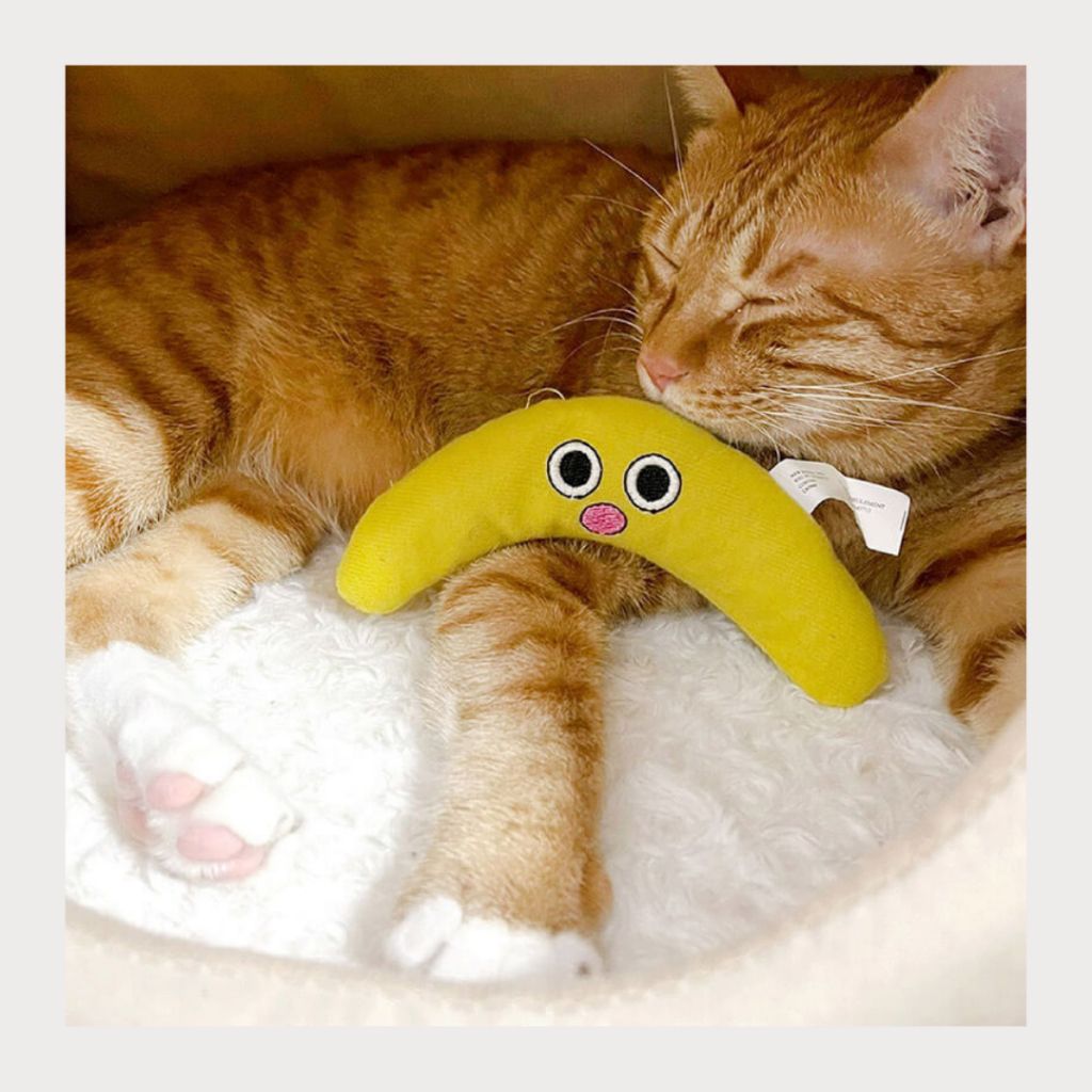 tw-11134207-7rasc-m31sk0emedgkfd