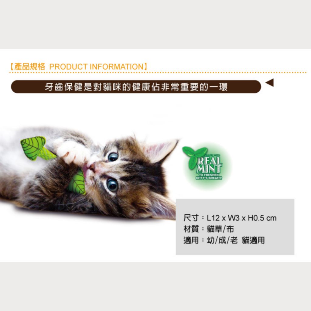 tw-11134207-7rasf-m31qzxsgebfv5b