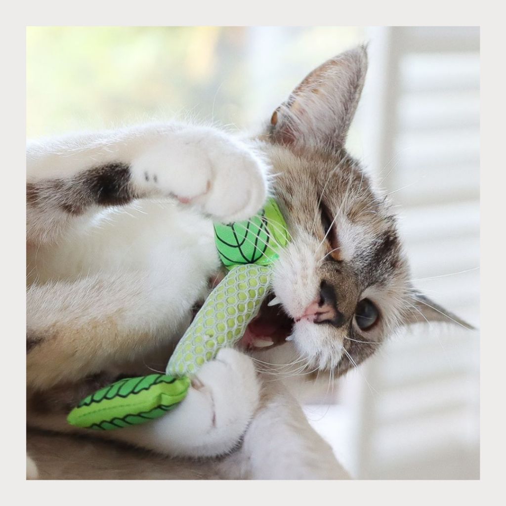 tw-11134207-7rase-m31r028tvmnf43