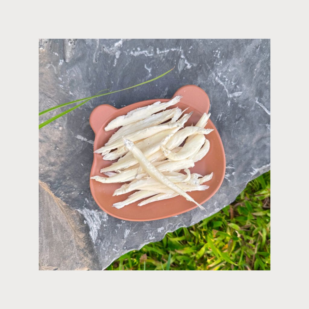 tw-11134207-7rash-m3n4td9hg66v86