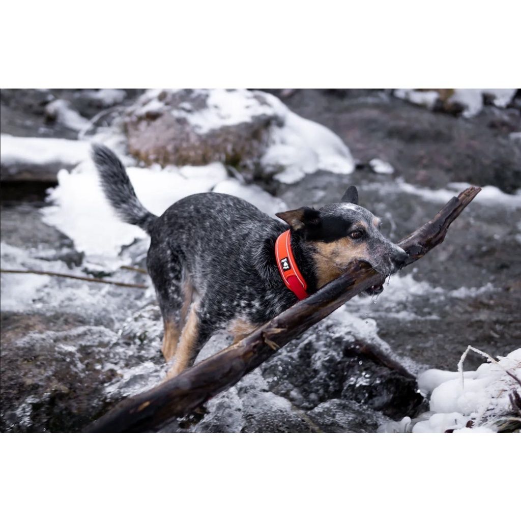 e033ff5dba24dcaa966e022764b503ec