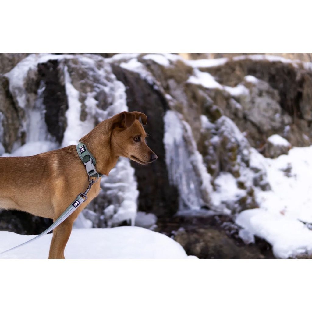 d270b102a15d5d6817a2cf8704985c26