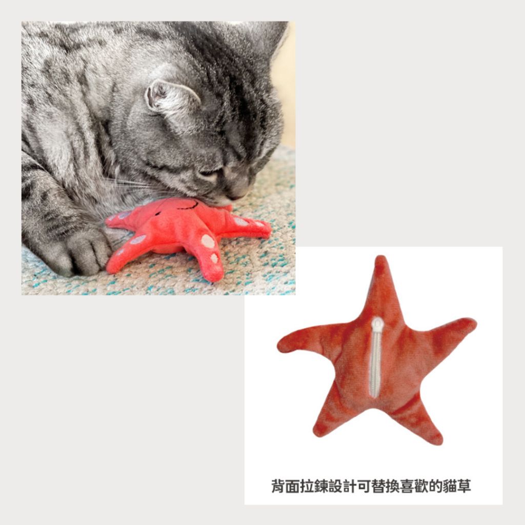 tw-11134207-7rasf-m3lpyko0p5jra2