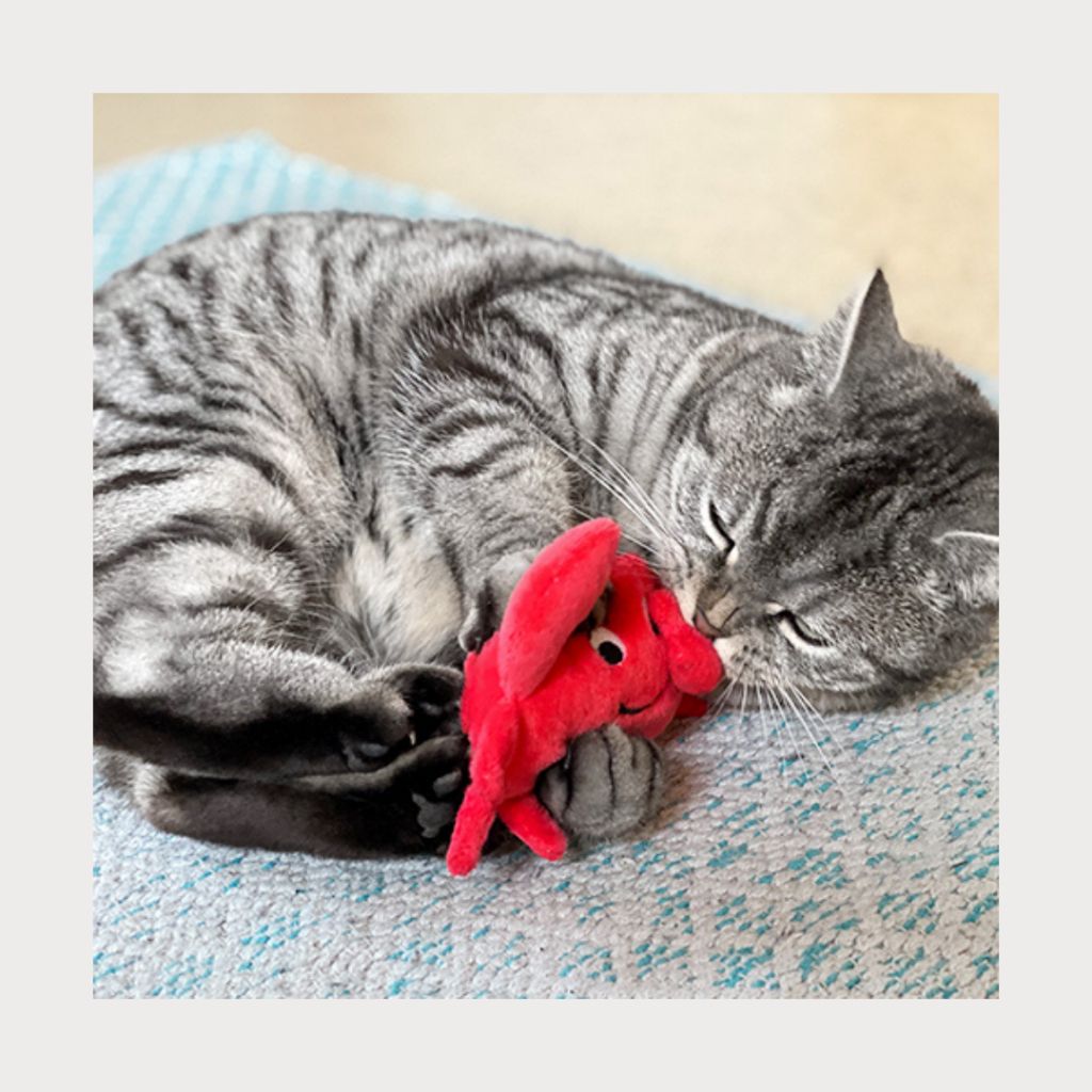 tw-11134207-7ras8-m3loq2i39s7udf