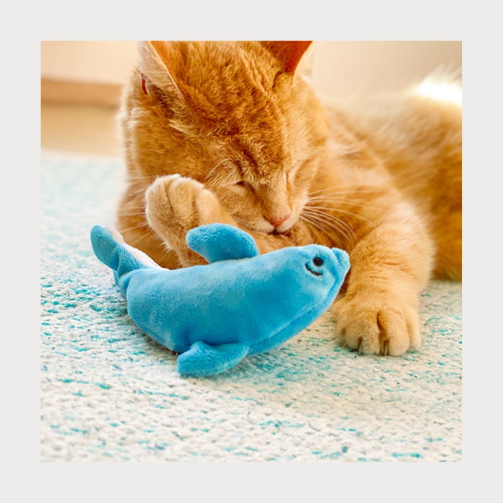 tw-11134207-7rasb-m3loq4qa0fvx6e