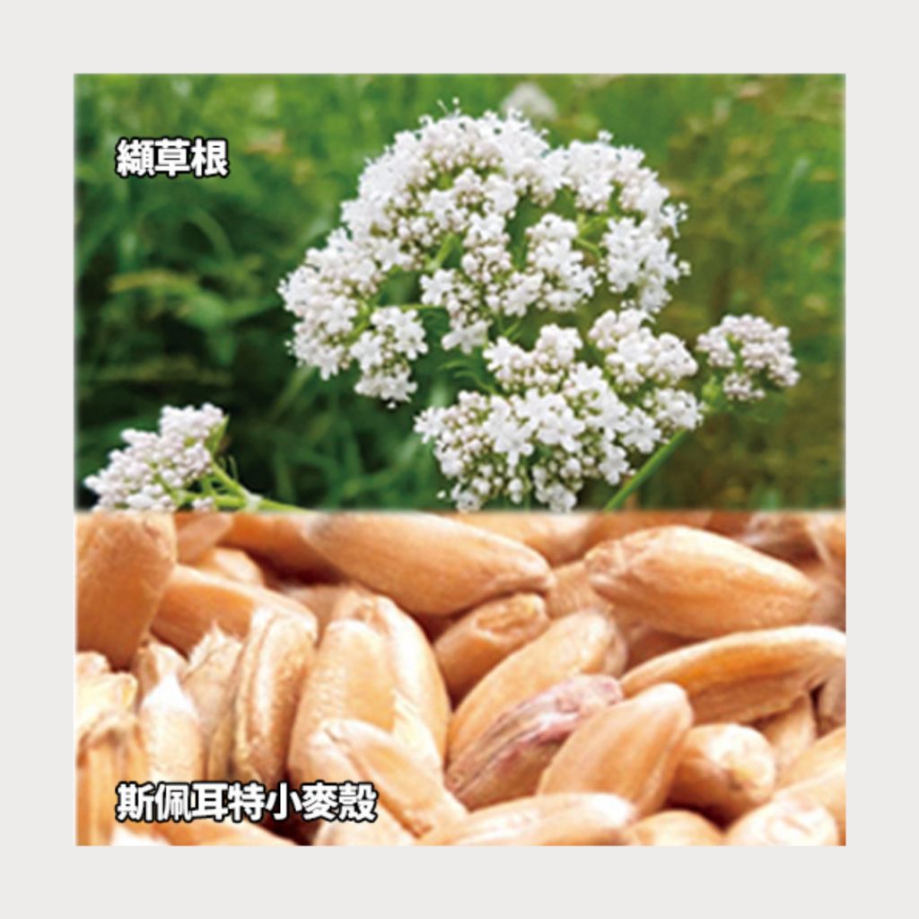 tw-11134207-7rasf-m3loq772fwuyd3