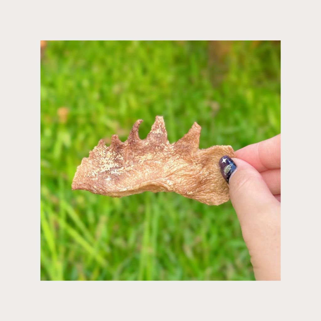 tw-11134207-7rasd-m3n51j9d9cpm95