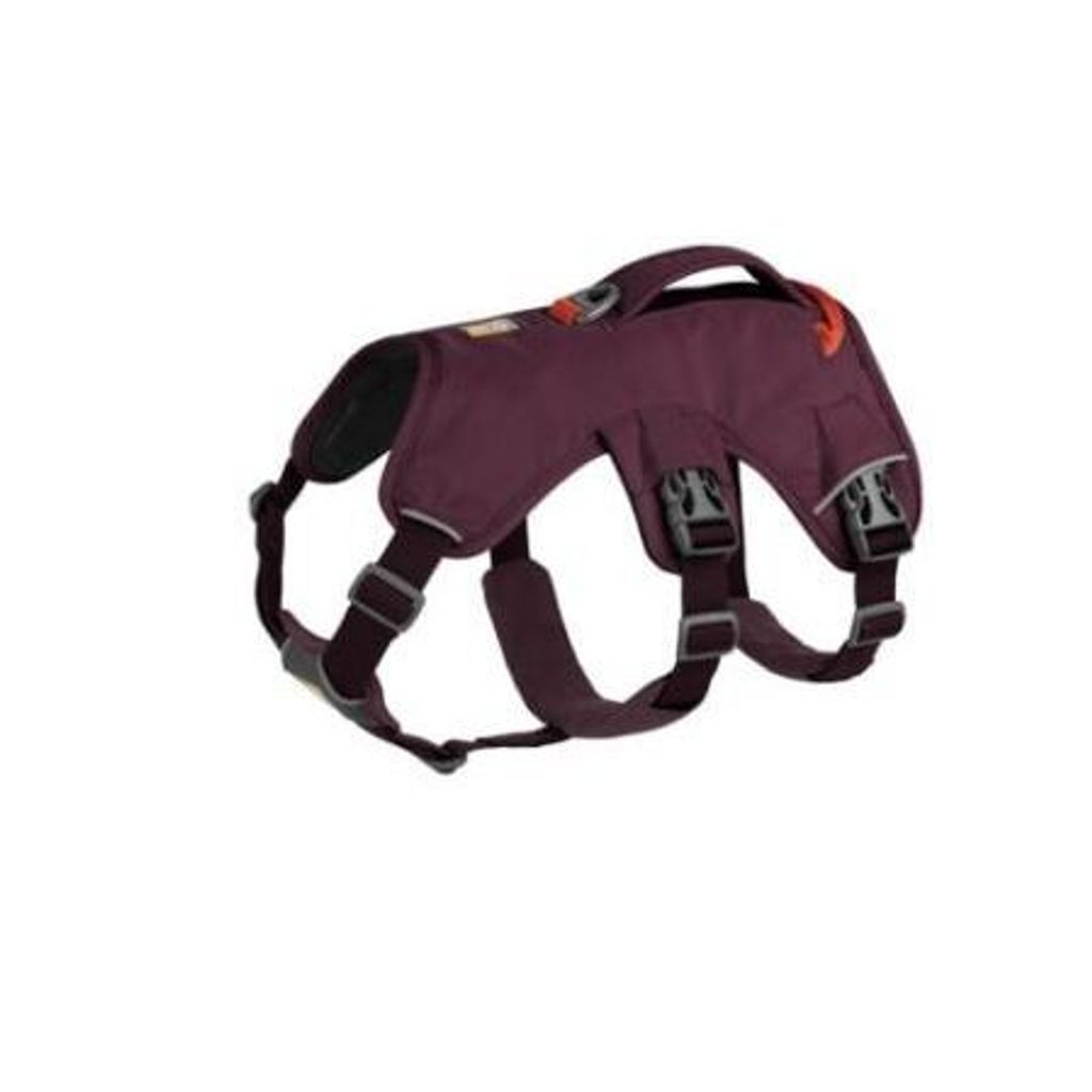 tw-11134207-7r98p-ltxe4dlisojxb3