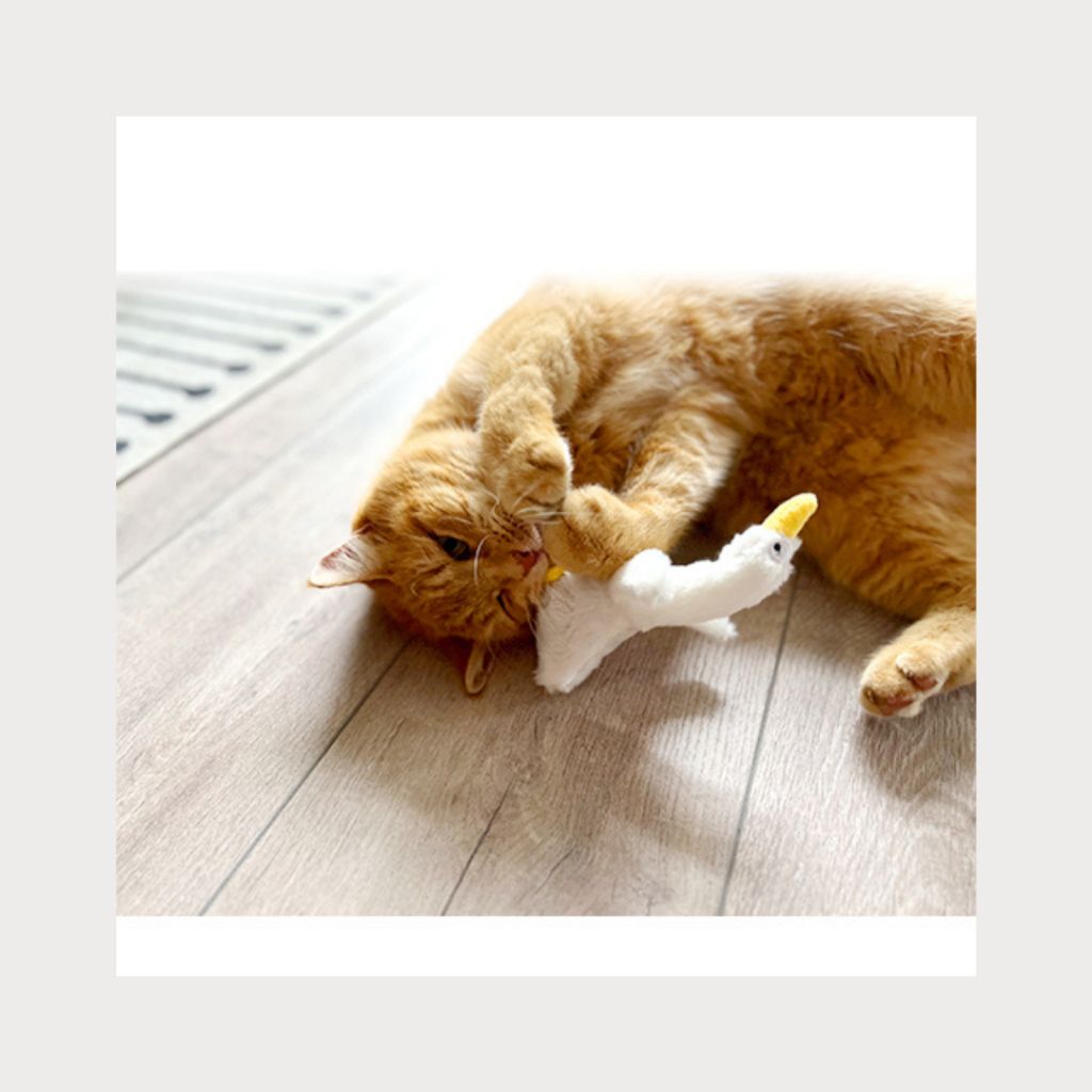 tw-11134207-7rasc-m3lr7vpvuo2fd3