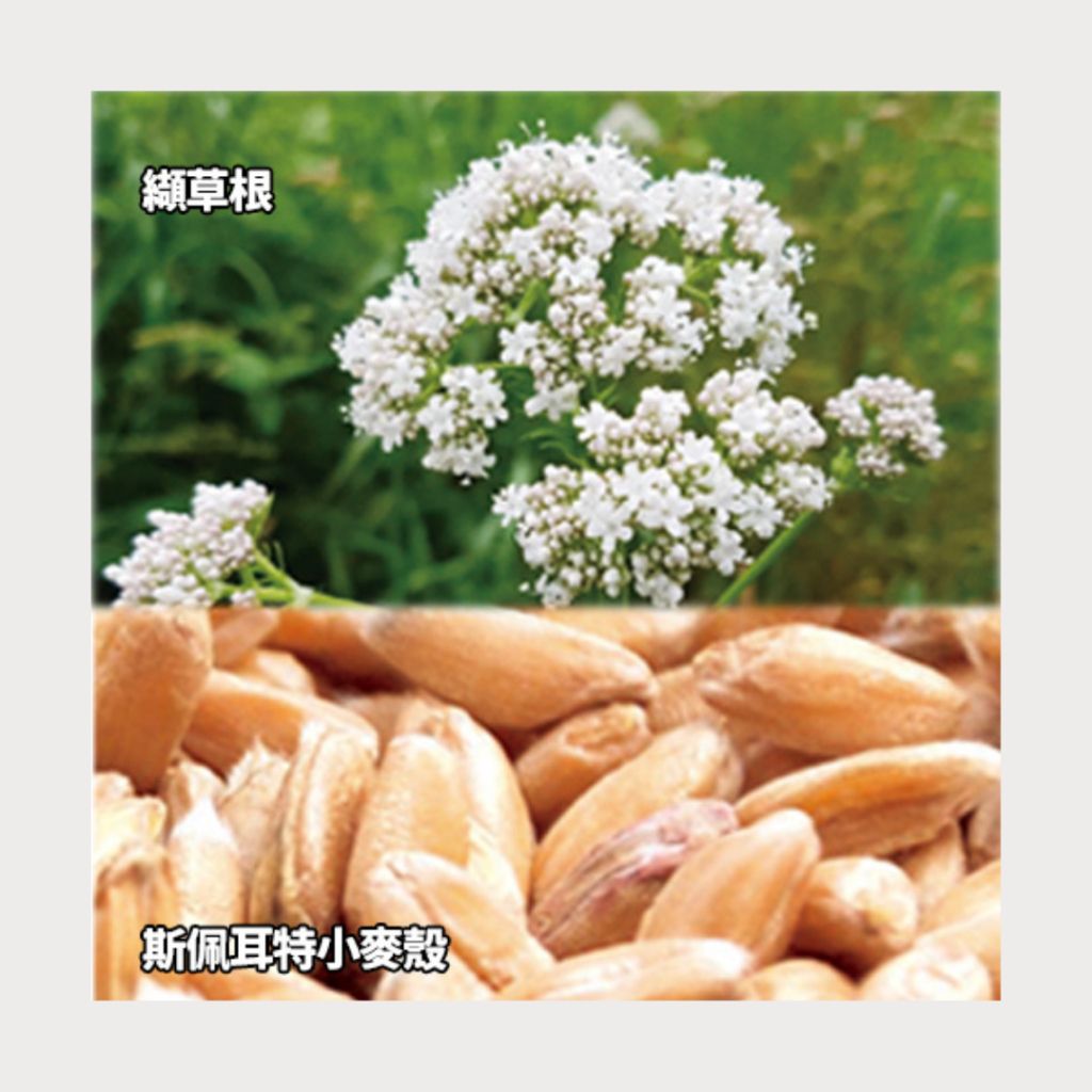 tw-11134207-7rasc-m3lr80oallei1c