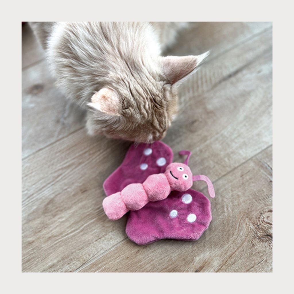 tw-11134207-7rasd-m3lmqdhm9tnbb2