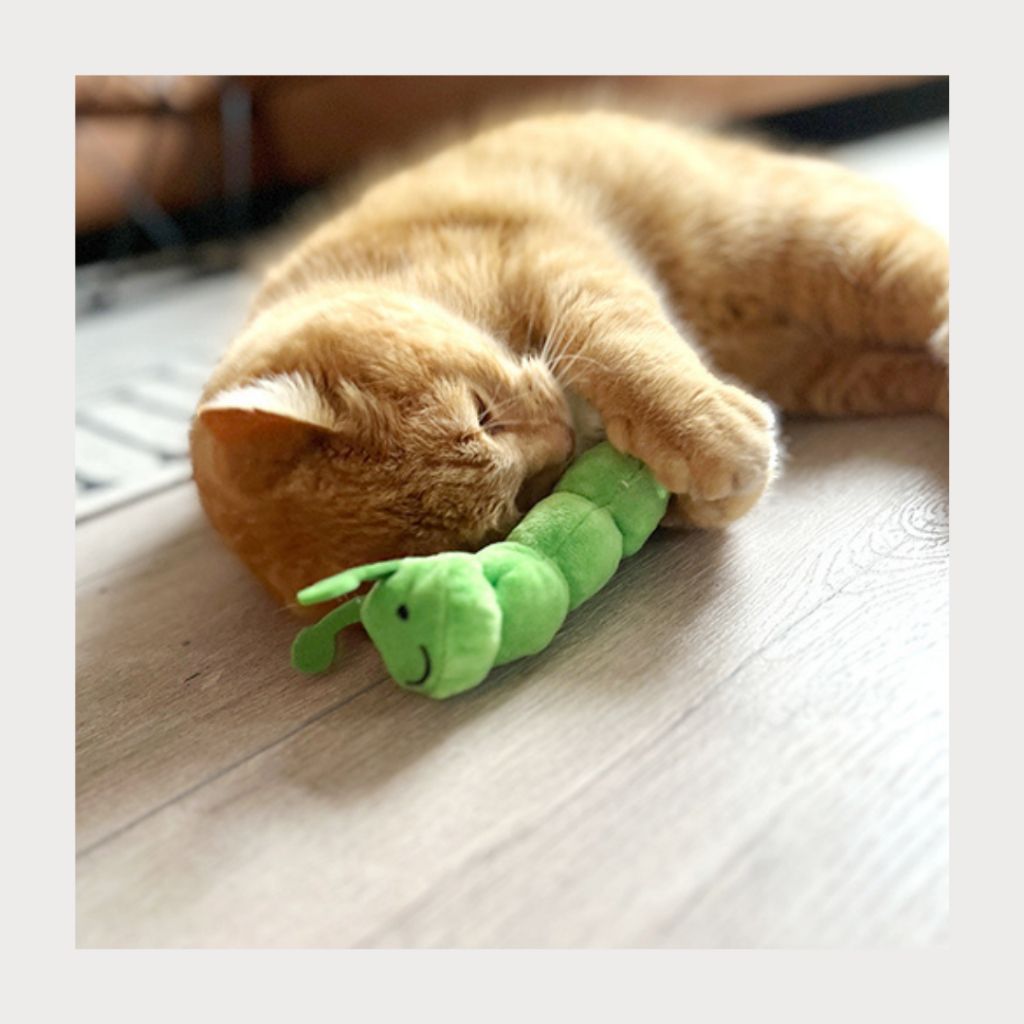 tw-11134207-7rasd-m3lmqfrqxn6i87