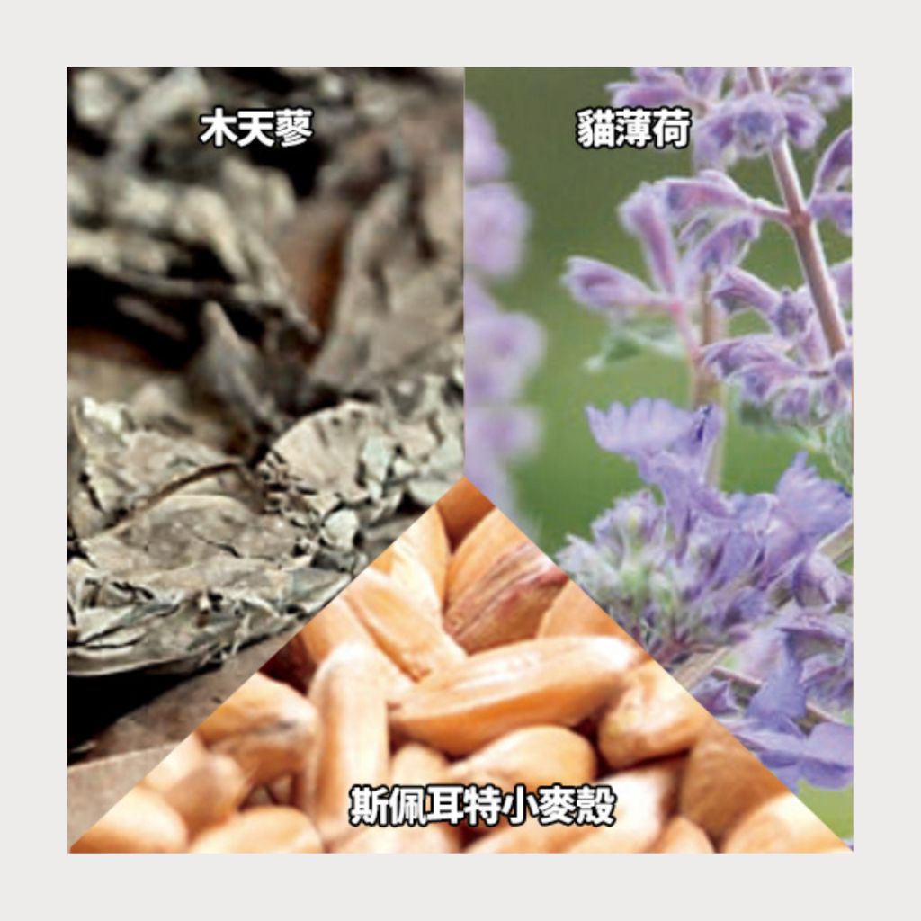 tw-11134207-7rasd-m3lmrdvt0j2y95