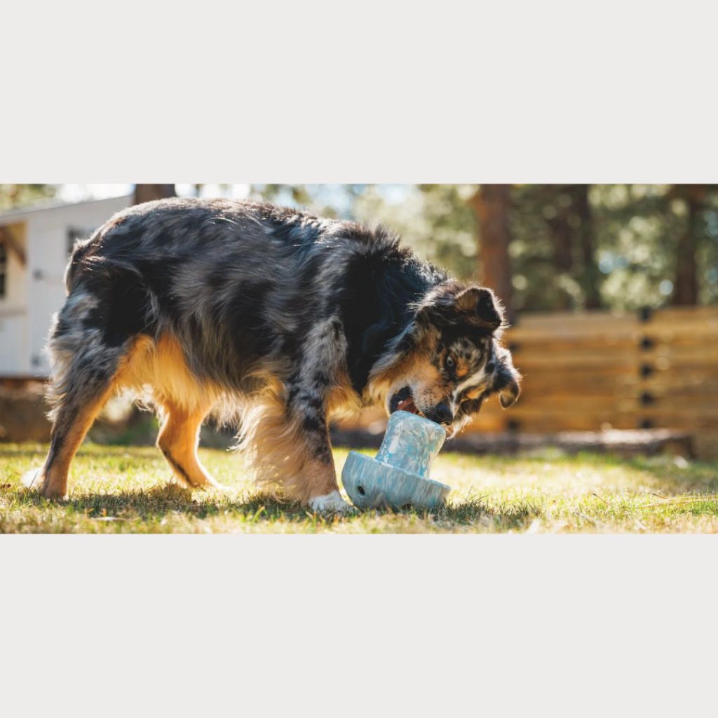 tw-11134207-7rasj-m3bzfqdzy4j12b