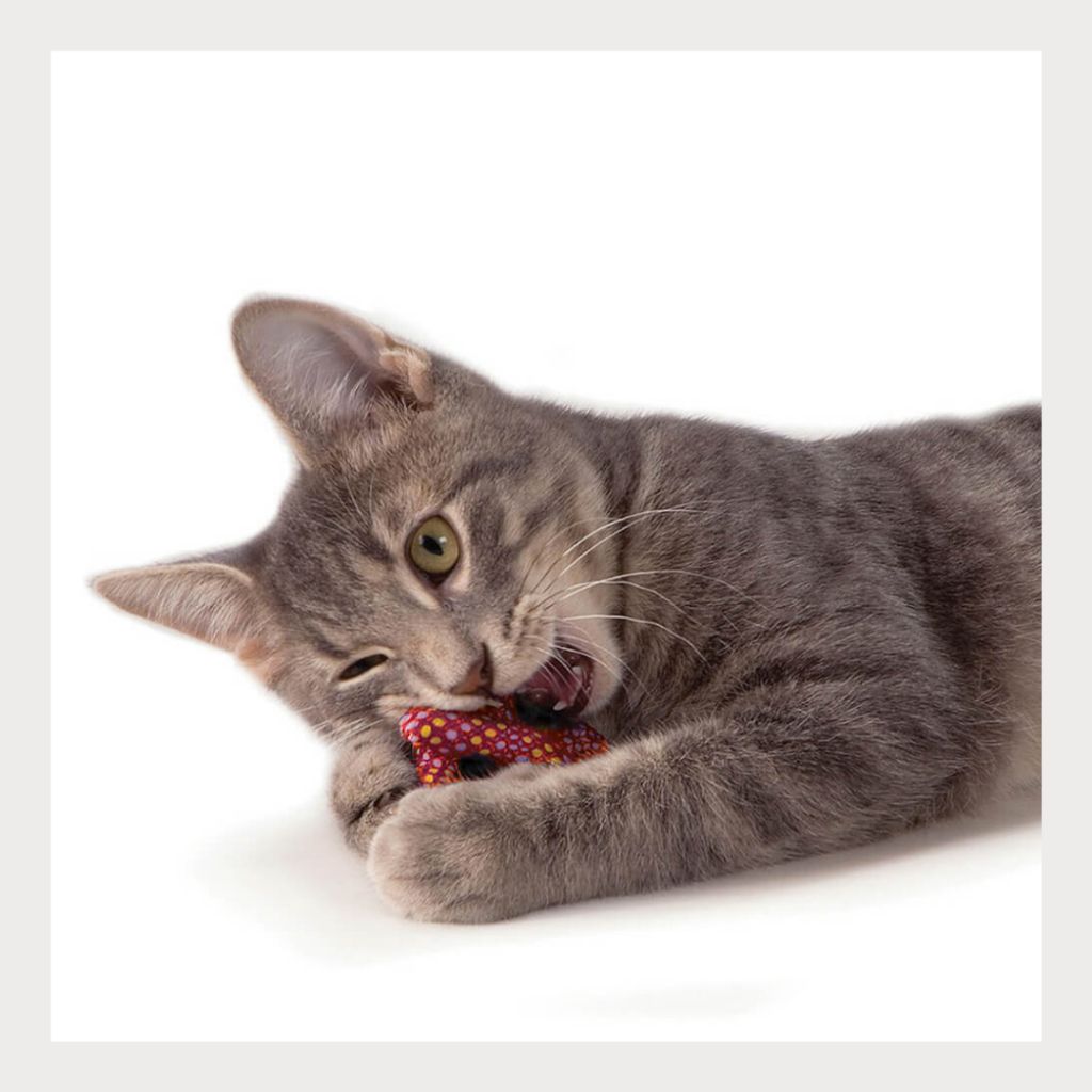 tw-11134207-7rasc-m31t9lpc8azo68