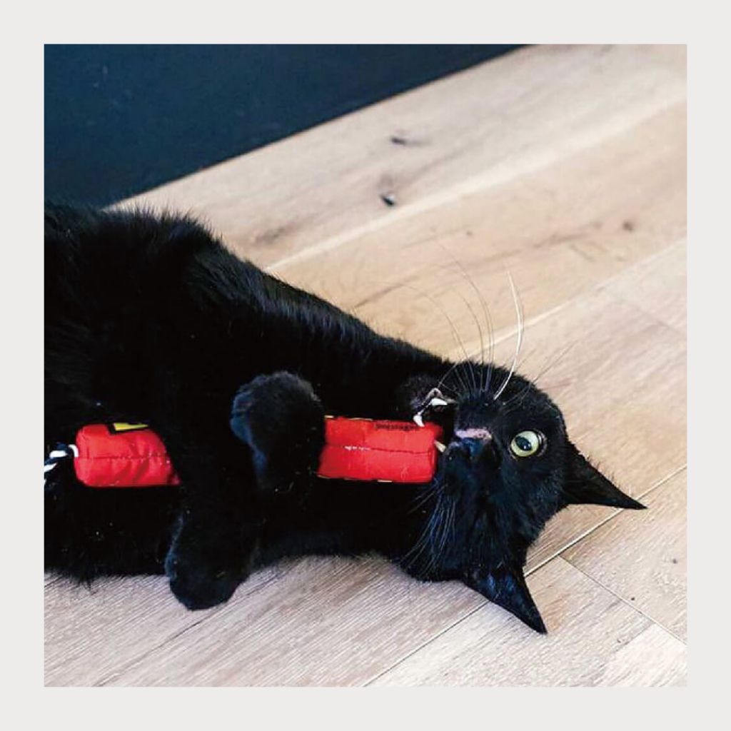 tw-11134207-7rasl-m31o4rttbzj891