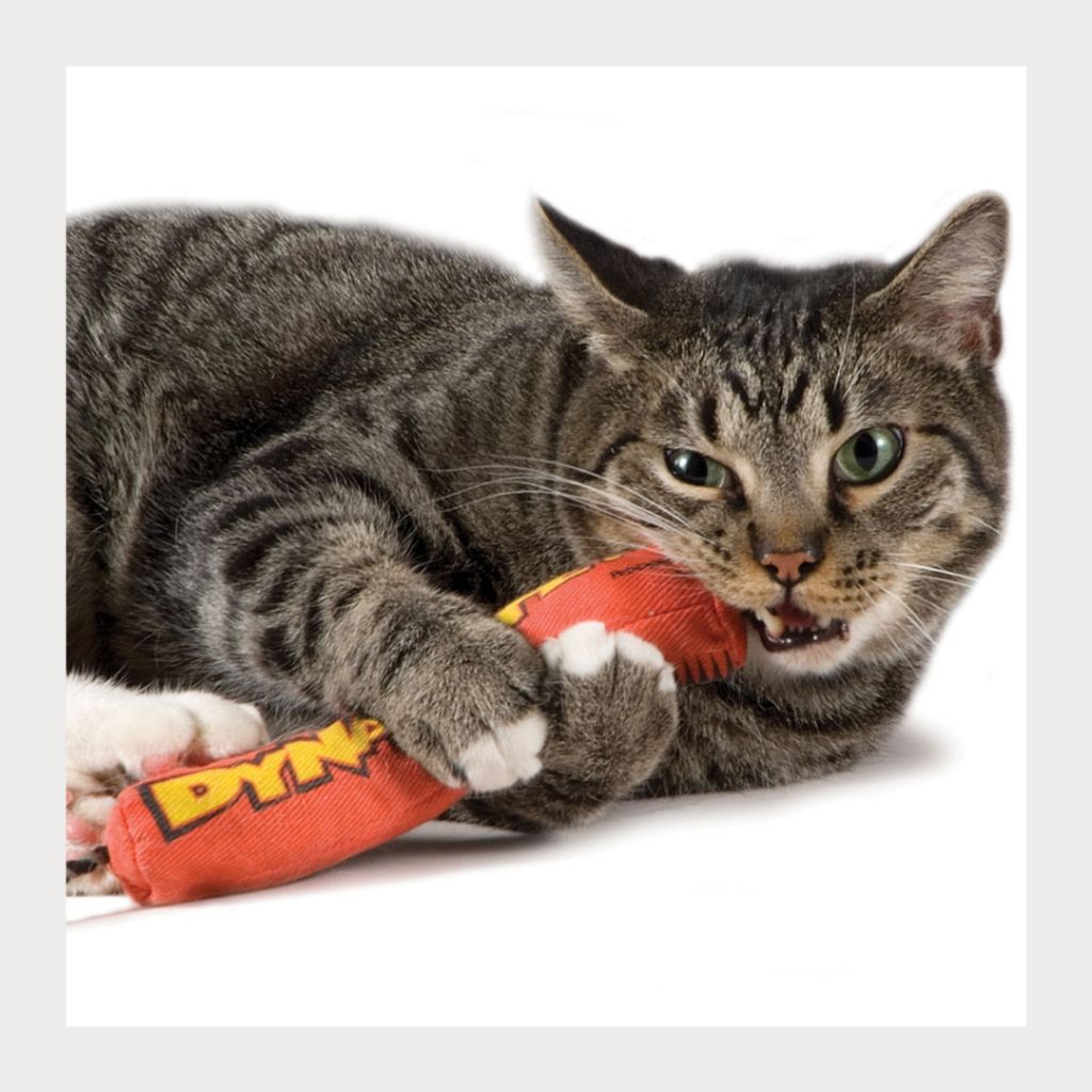 tw-11134207-7rasf-m31o4uddneec41