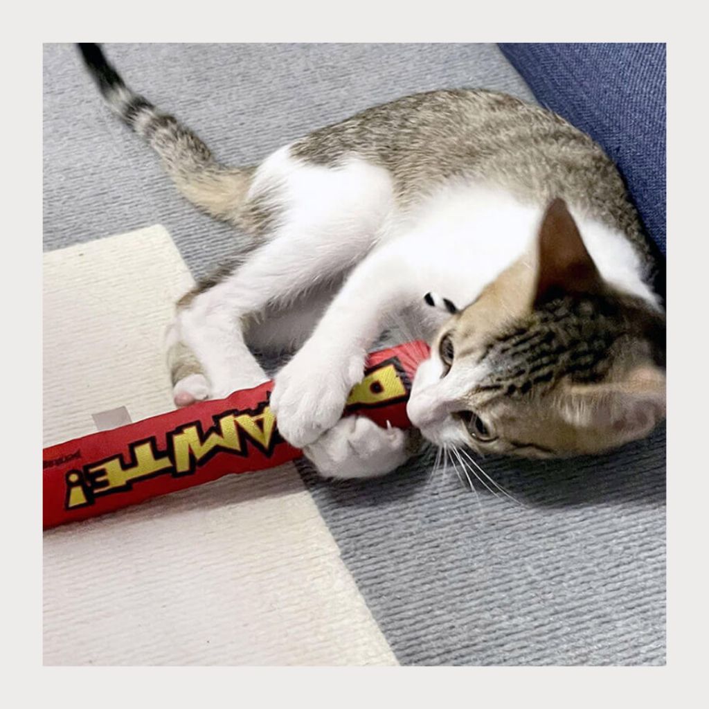 tw-11134207-7rasc-m31o4wkqdvac23