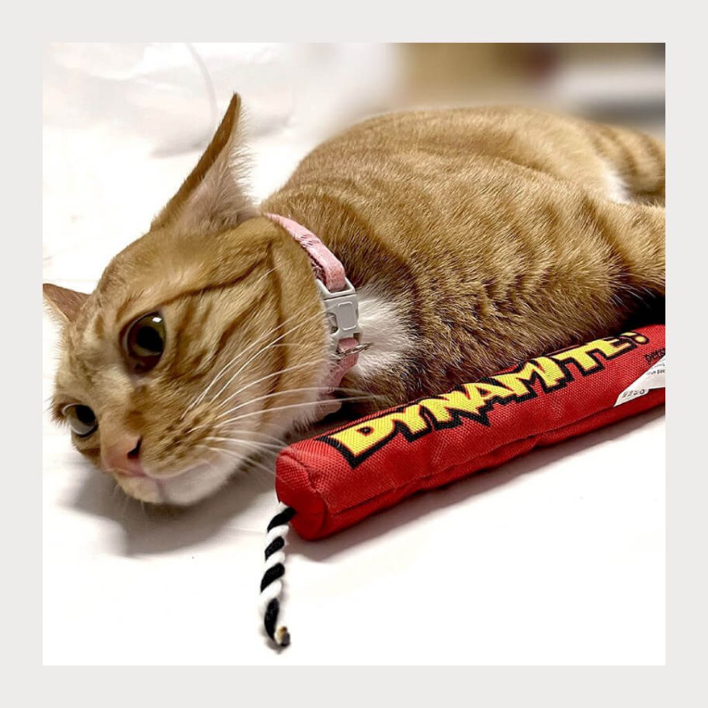 tw-11134207-7rasa-m31o4zmvwo84f1