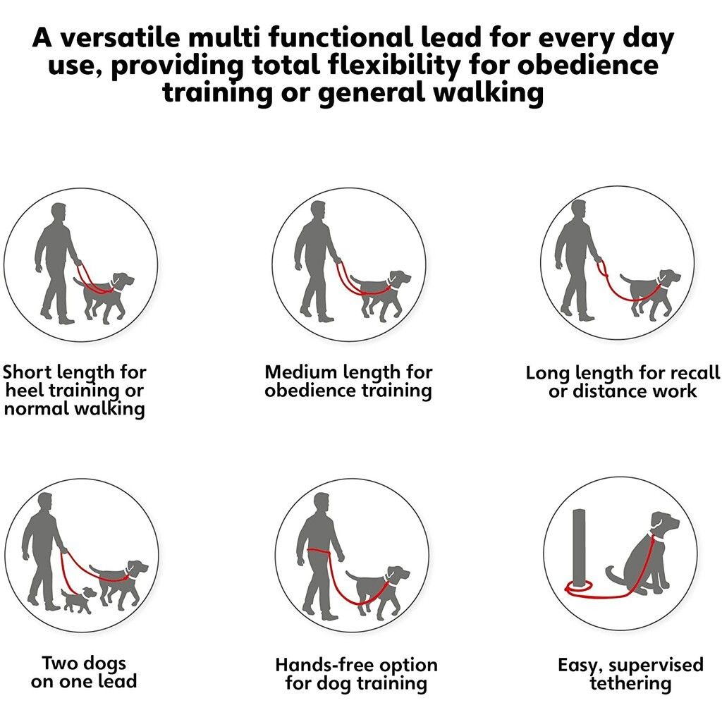 2c43d6b30c850ea528a0878a9de181aa