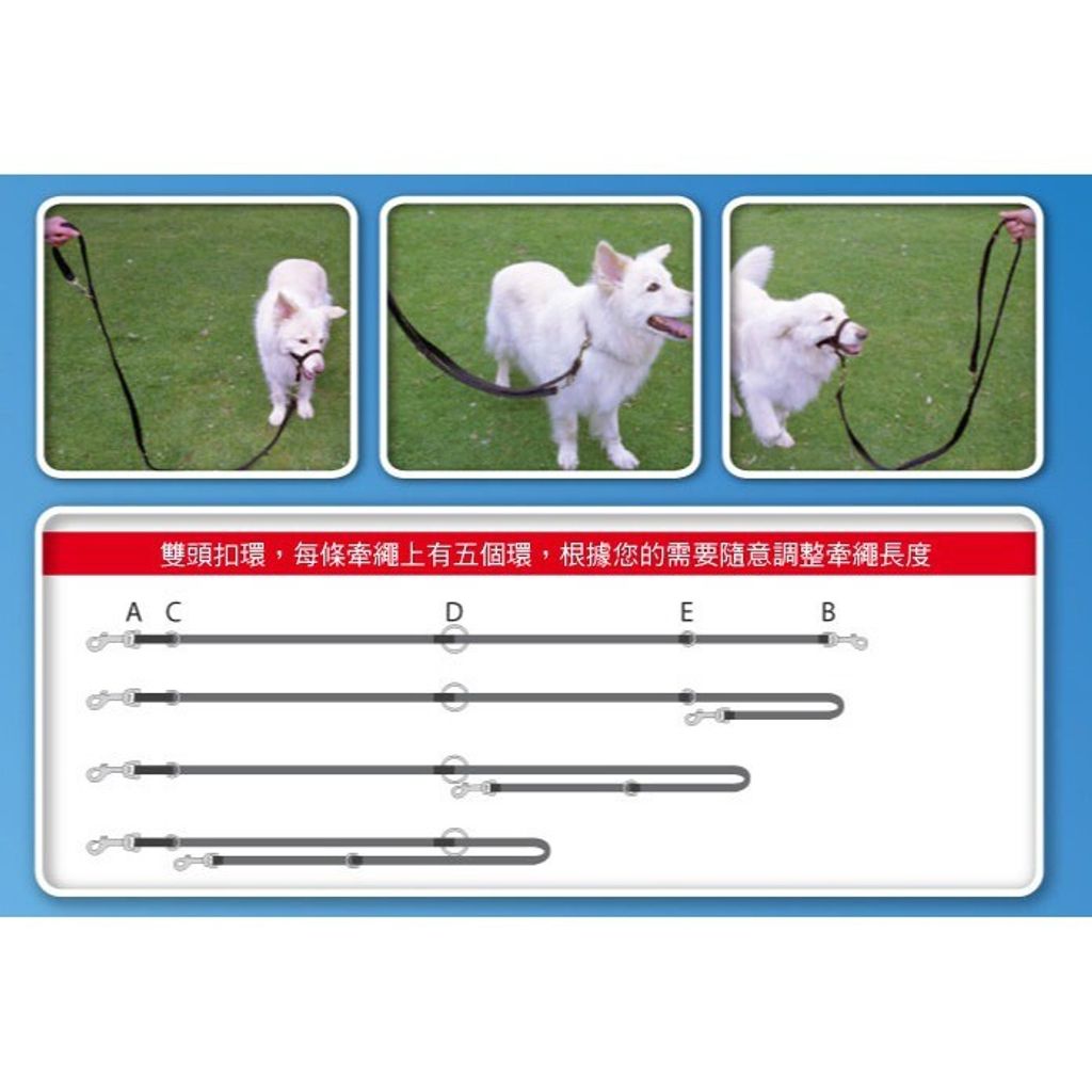 dc5371b22c376fa2e25273a79c5a75cb