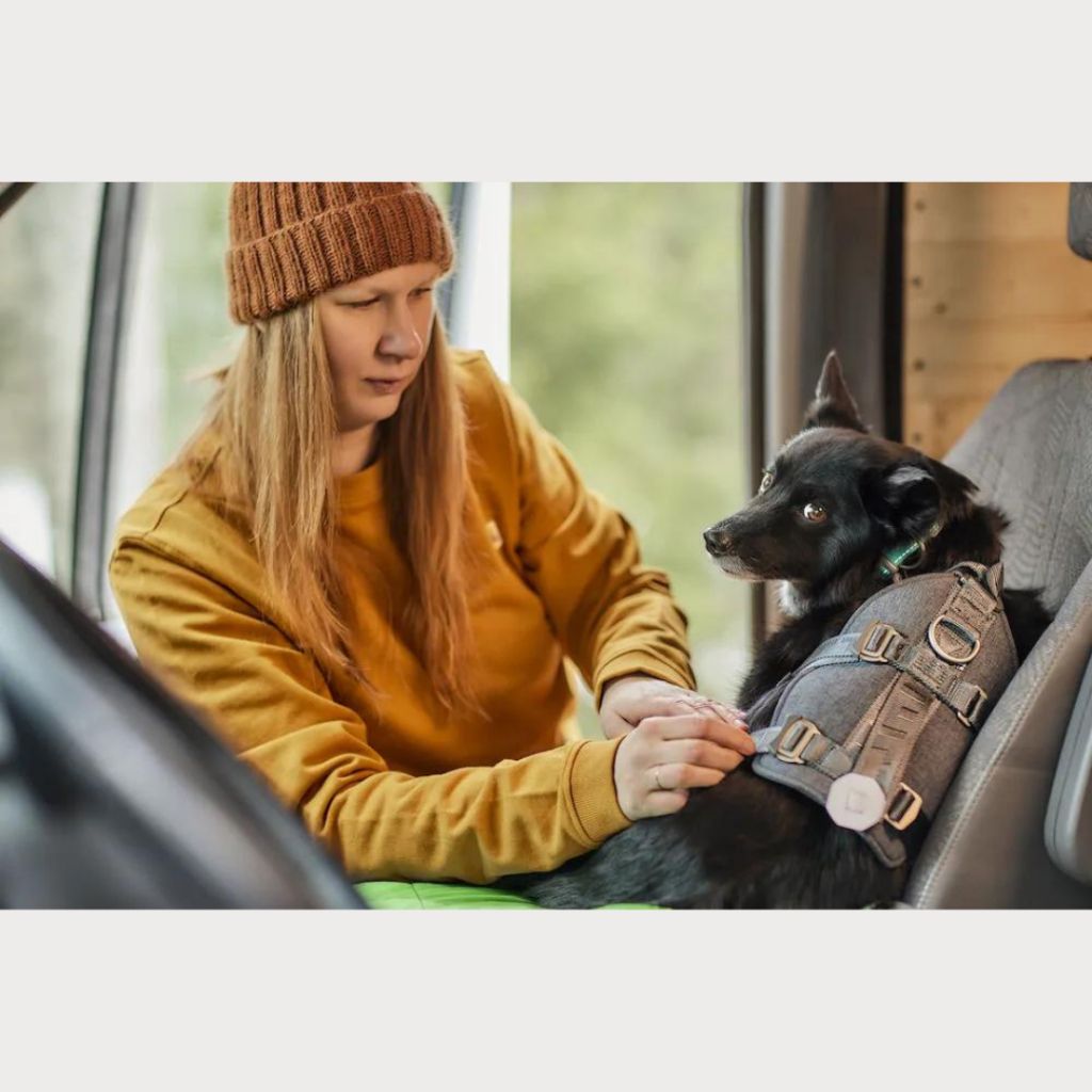 tw-11134207-7r98r-m0895lf05ec3f3