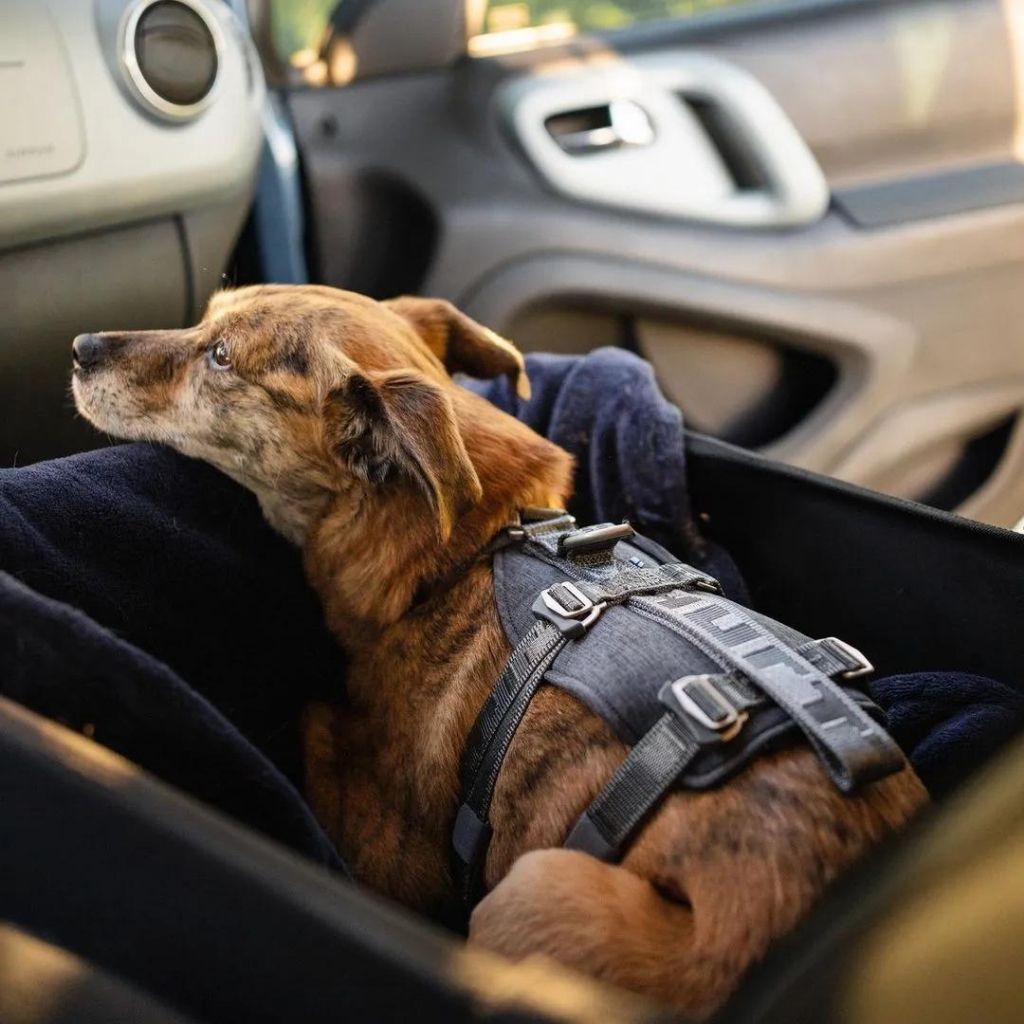 tw-11134207-7r98x-m0895ojdkxyf77