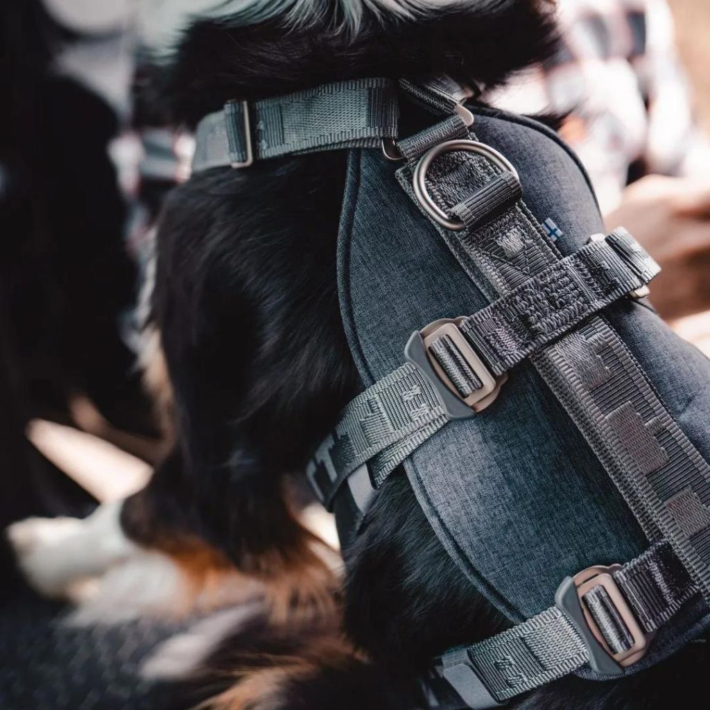 tw-11134207-7r98o-m0895qrac0k3f1