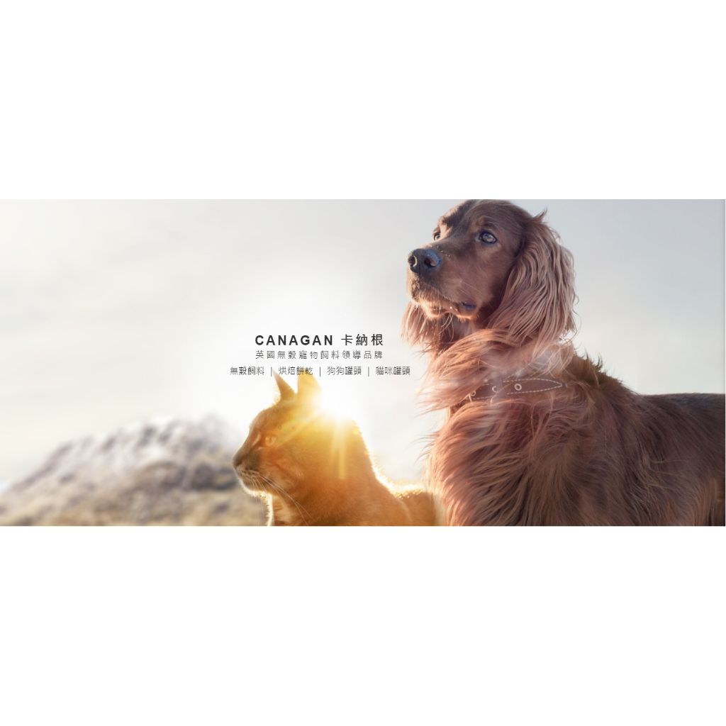 tw-11134207-7r98q-lvyjzr9whteuf8