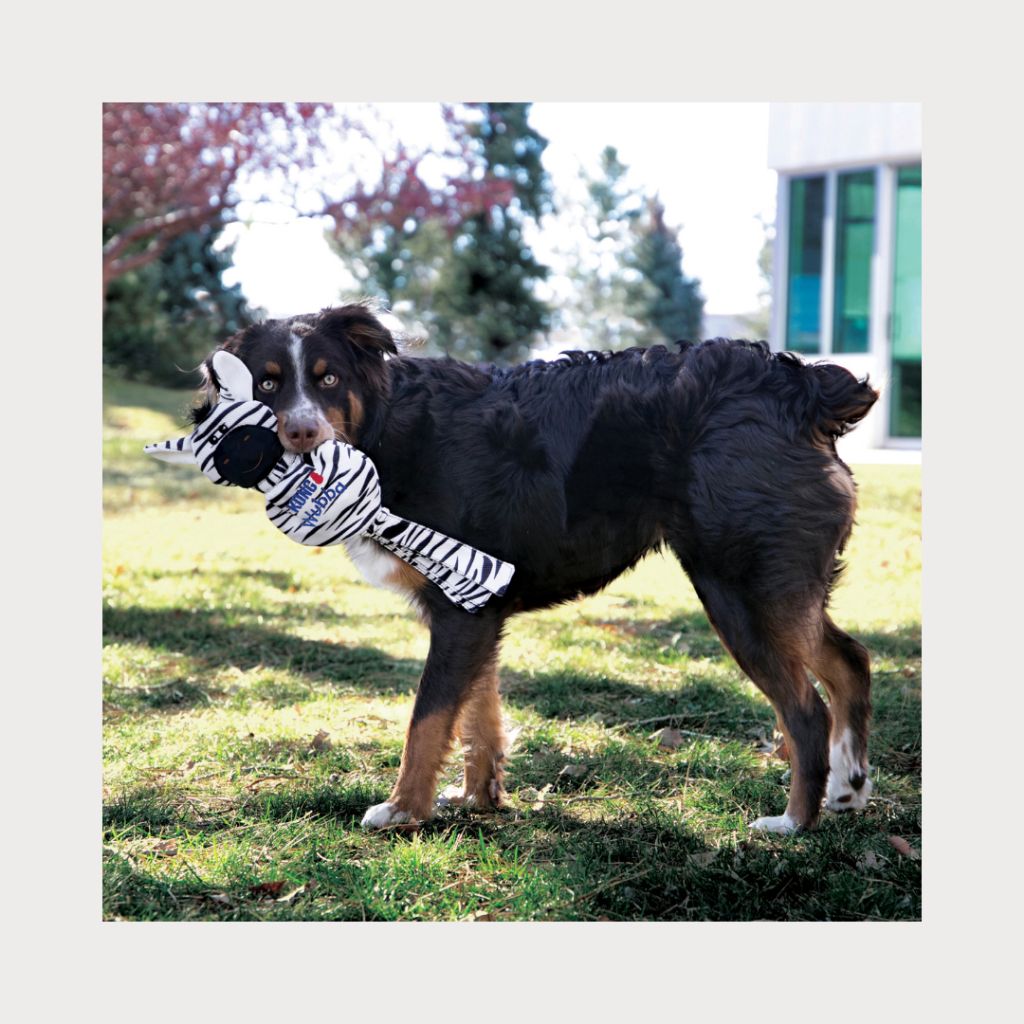 tw-11134207-7rasf-m5tjdtn4m1bq6b