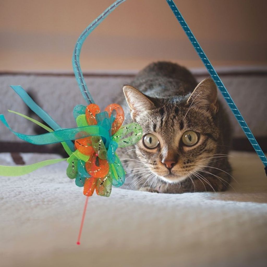 sg-11134201-22120-s3udo2wextkv7f