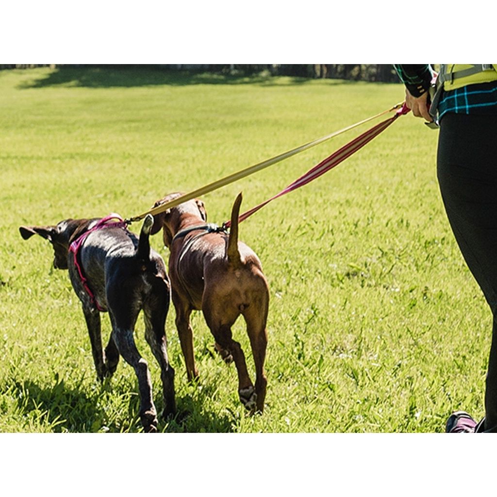 1e7b23db90b1e3fc1108c4eb964c2069