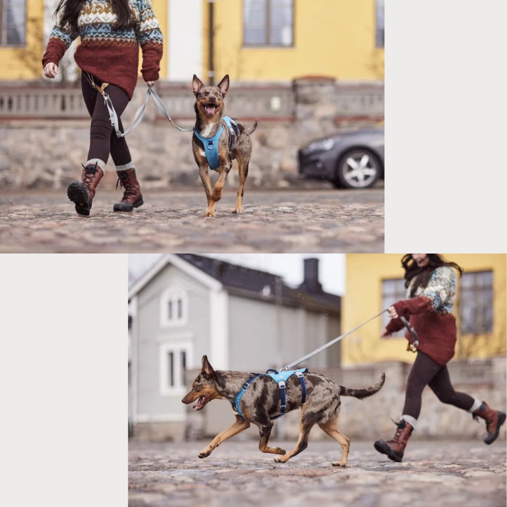 tw-11134207-7rash-m5axvtu7883l84