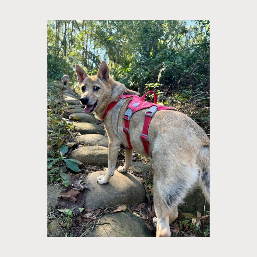 tw-11134207-7rasl-m5axwmu0spvl53