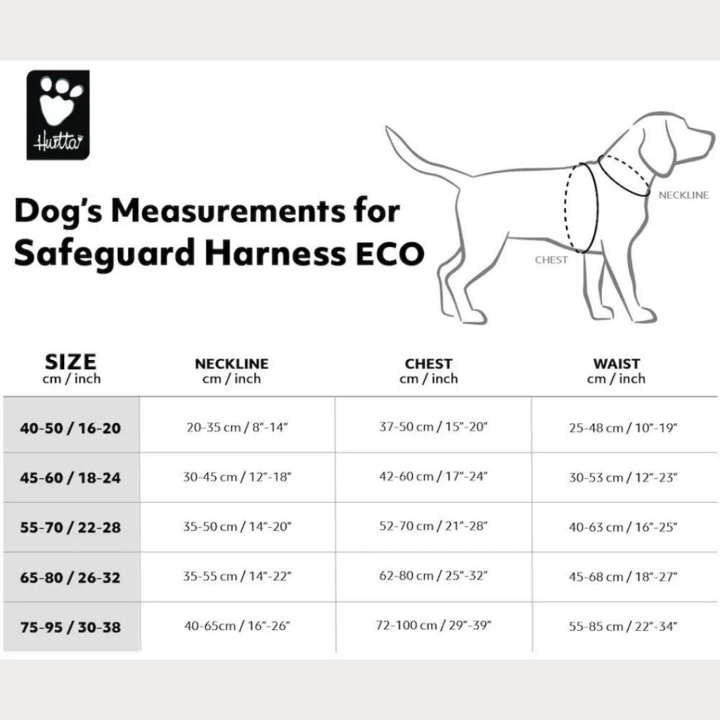 tw-11134207-7rasg-m5axwqe7mjm568