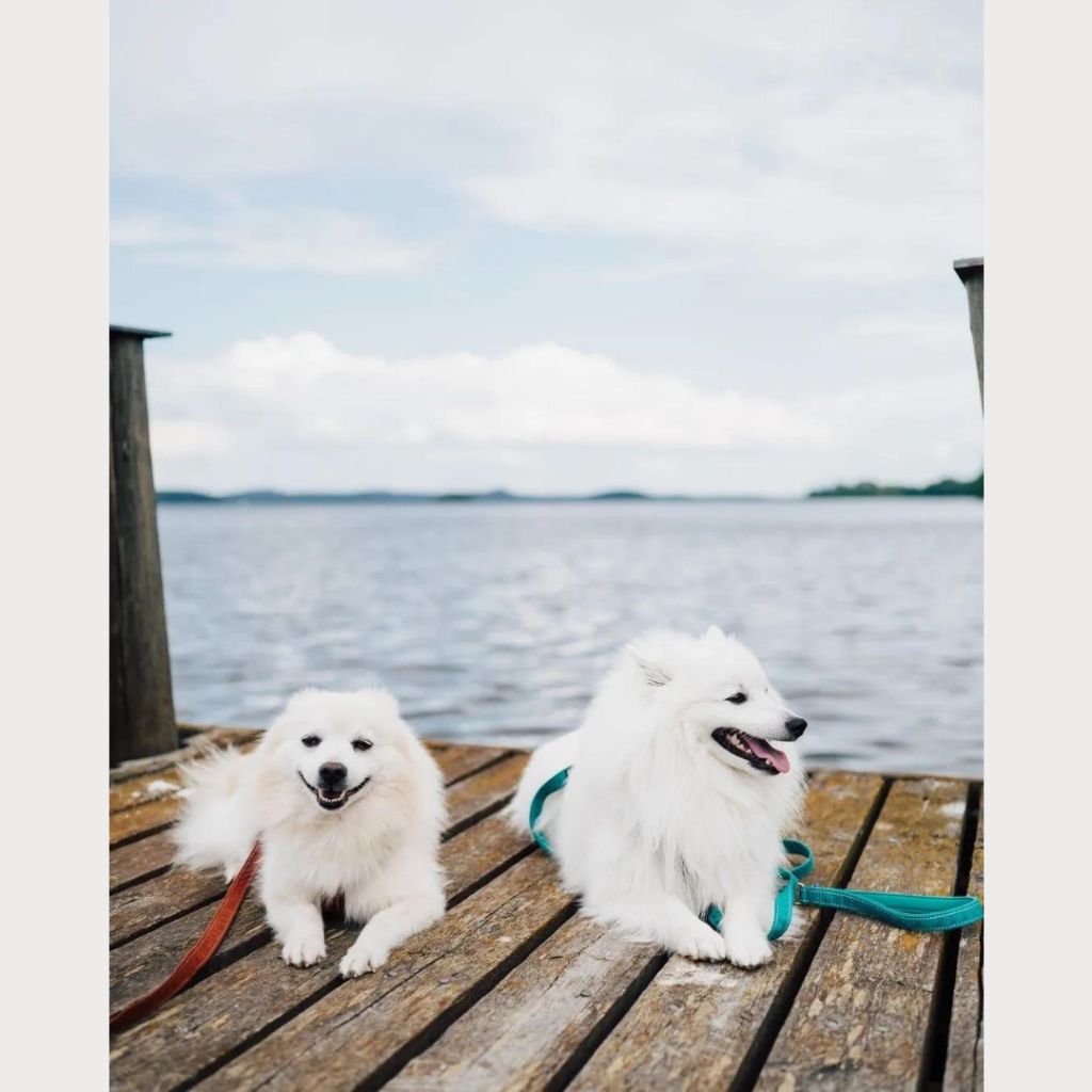 tw-11134207-7r990-m08ax9k3vlxv09