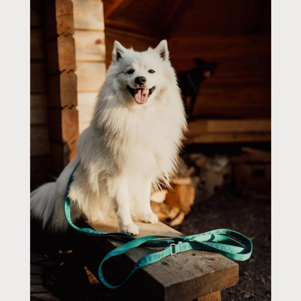 tw-11134207-7r98r-m08axby4dq7b9a