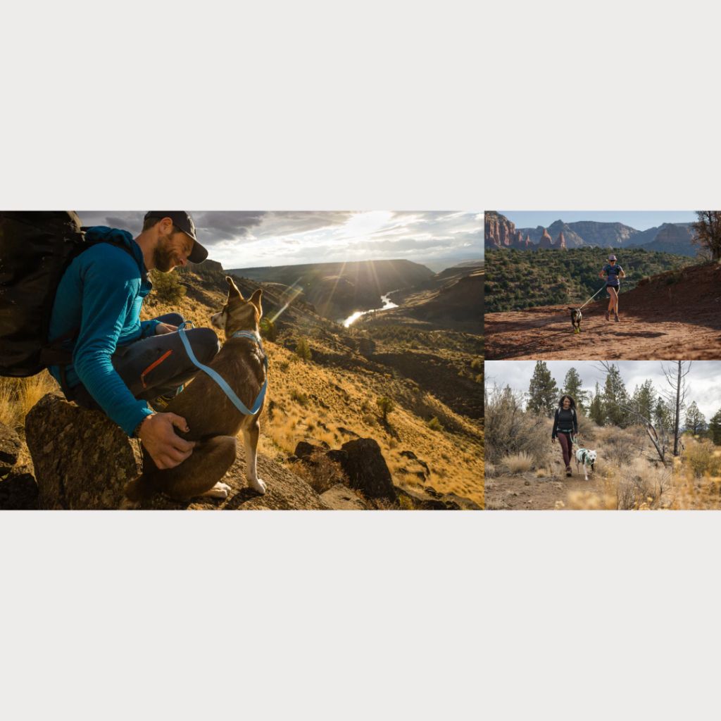 tw-11134207-7r98p-m0b5wcat0vdf11