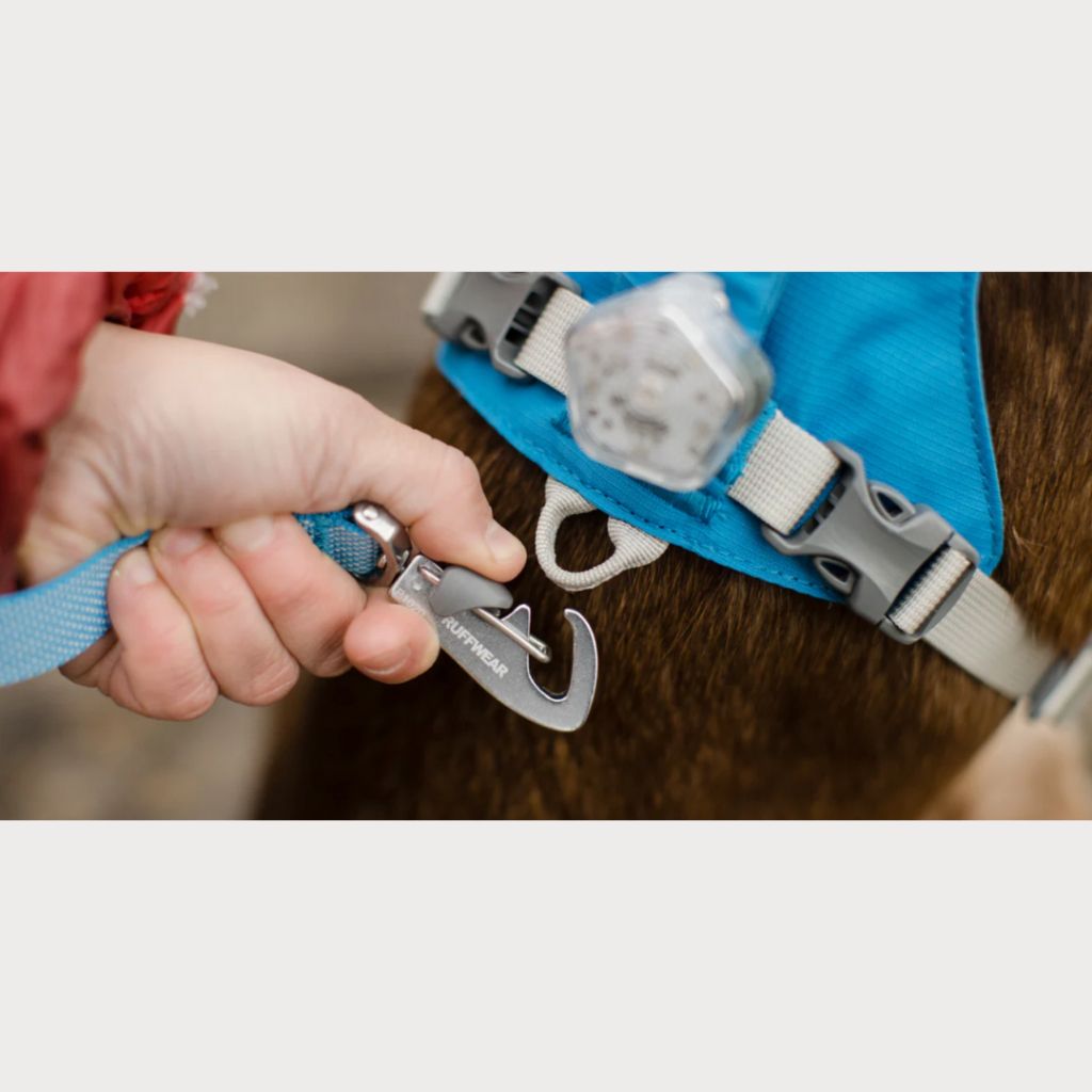 tw-11134207-7r98r-m0b5wj6ayodjda