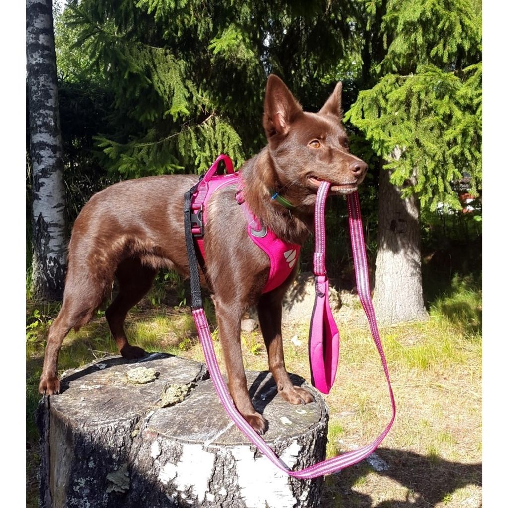 2a3dd0743067b88514d0a5a7c144ed45