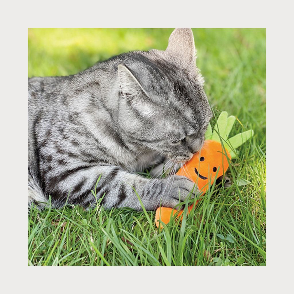 tw-11134207-7rasg-m3lqjsucf38aa4