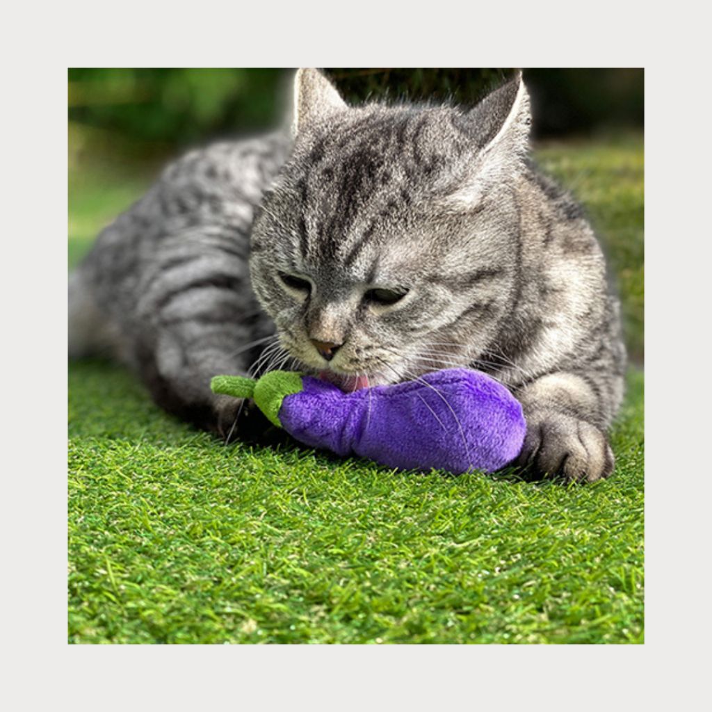 tw-11134207-7rasm-m3lqjwr0p8bx0c