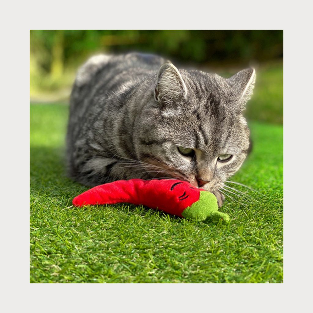 tw-11134207-7rask-m3lqjz5v652213